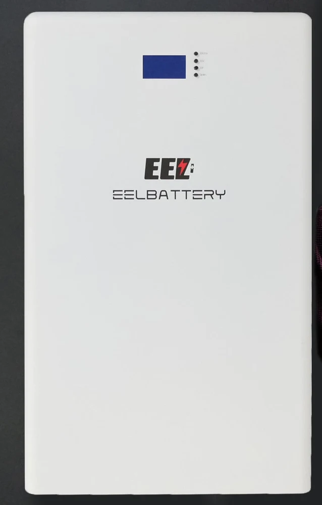 EEL WE Series 48V 15kWh Power Wall LiFePO4 Battery Pack (Seplos EN 200A BMS)
